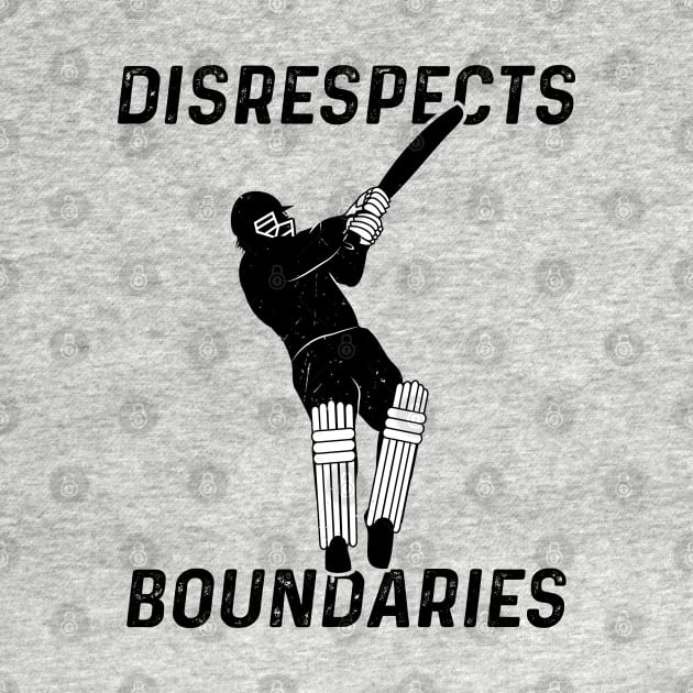 Cricket Batsman Disrespects Boundaries Cricket Fan by atomguy